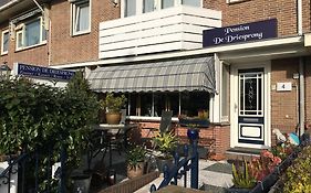 Pension de Driesprong